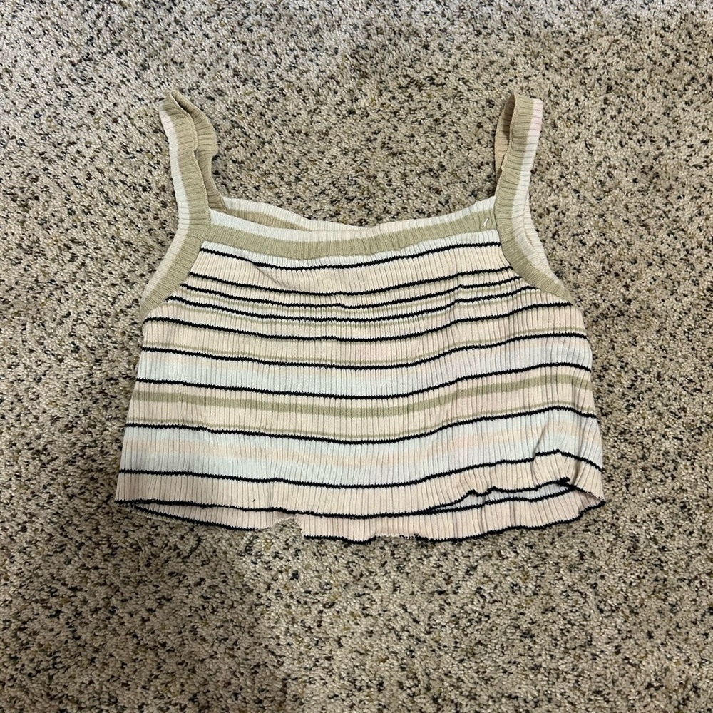 Express Multicolor Striped Crop Top